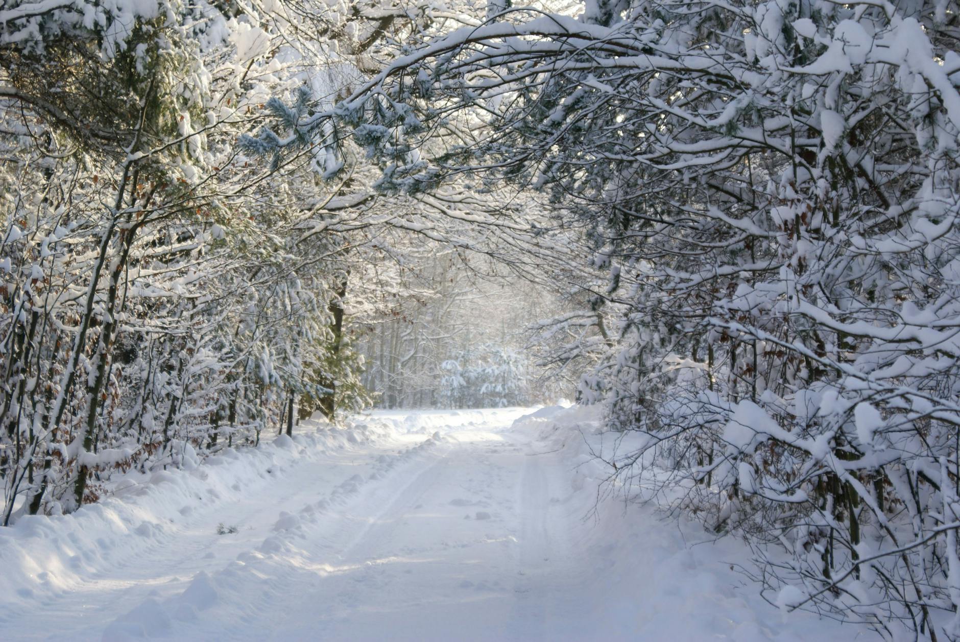 A Toast to the Cold Season