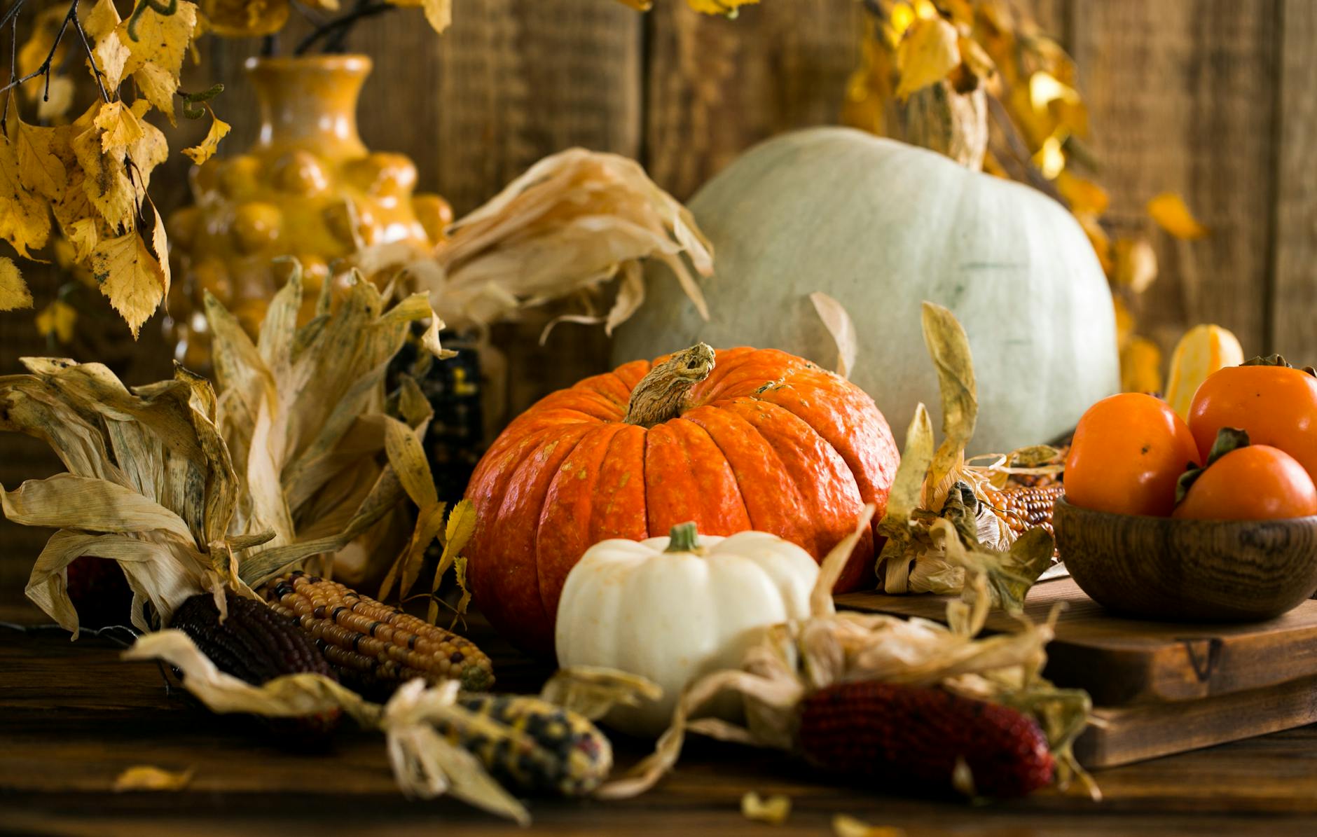 Part I: Giving Thanks (and Maybe a Little Grace)